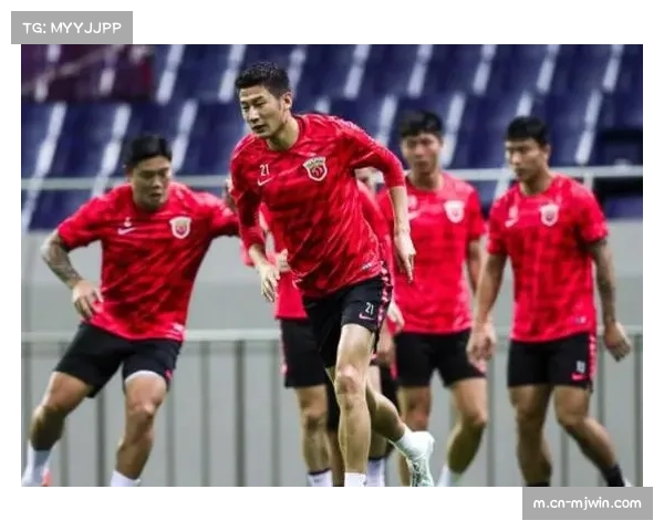 桑德兰新援磨合期漫长 三中卫体系面临考验